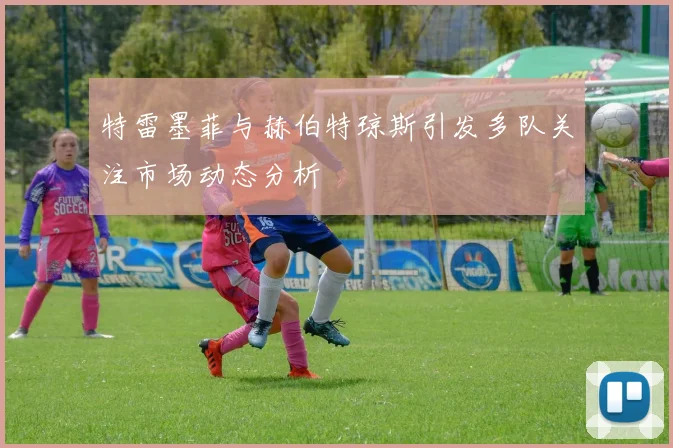 特雷墨菲与赫伯特琼斯引发多队关注市场动态分析